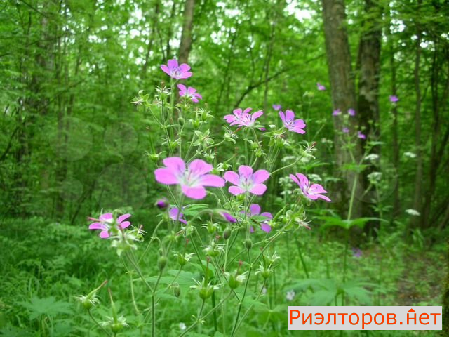 ������ �������� ������������ ����� 35�1 (���� �27)