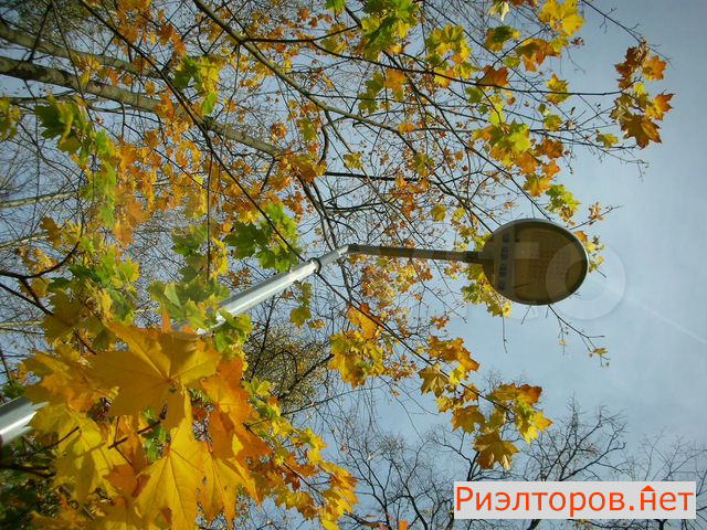 ������ �������� ������������ ����� 35�1 (���� �28)