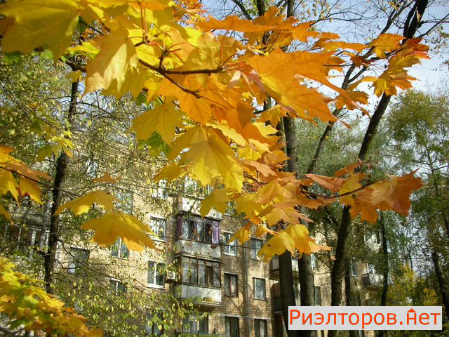 ������ �������� ������������ ����� 35�1 (���� �29)