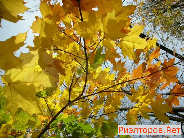 ������ �������� ������������ ����� 35�1 (���� �30)