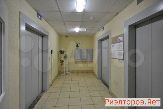 ������ �������� ��������� ���������� ����� ���������������� ��������� (���� �17)