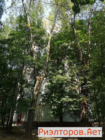 ������ �������� ������������ �������� 26�2 (���� �16)