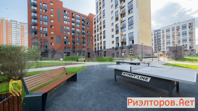 ������ �������� ��������� ���������� ����� ������ ���������� (���� �19)