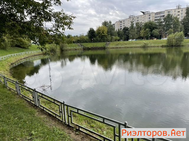     1004 ( 19)