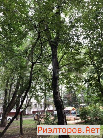 ������ �������� ����� ��������� 35�2 (���� �15)