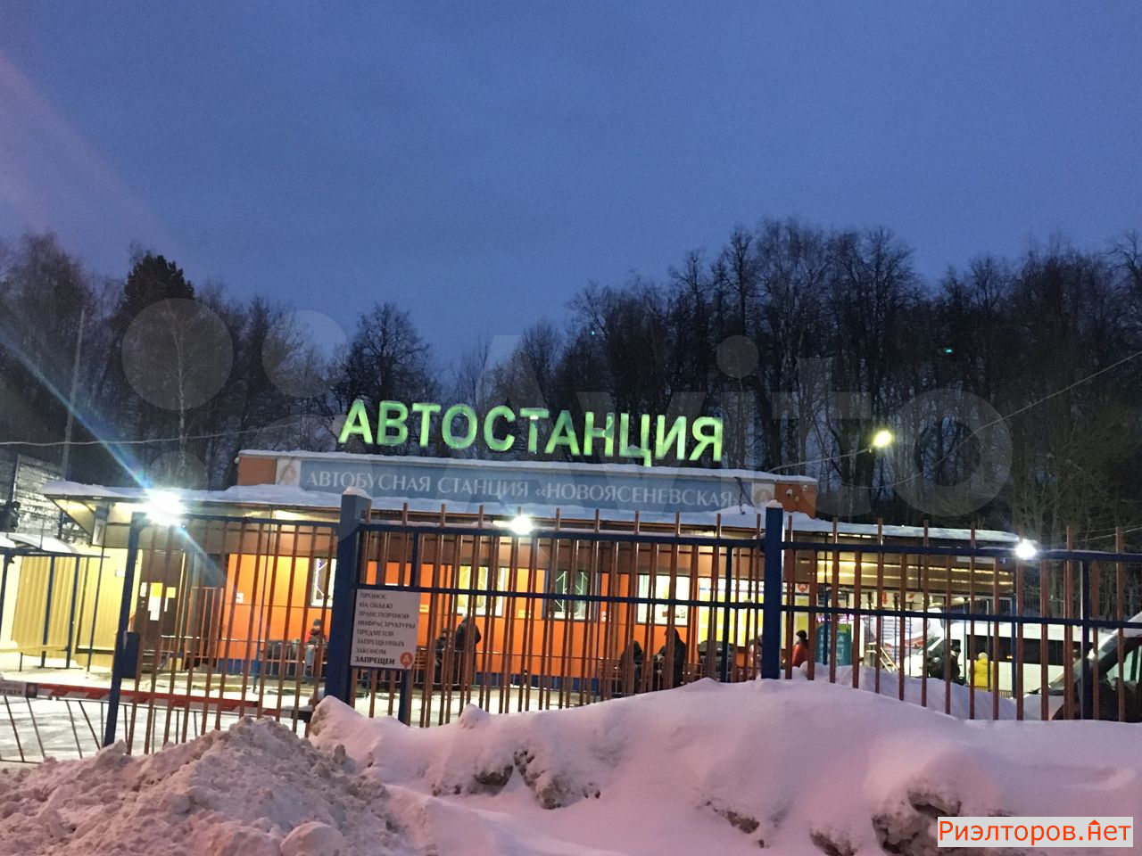      ( 81)