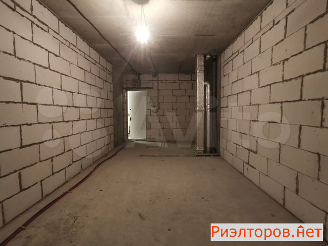      level  ( 4)