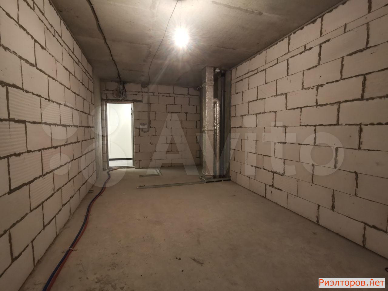      level  ( 46)