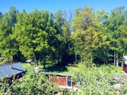 ������ ��� (���� �8)