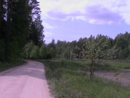      ( 3)