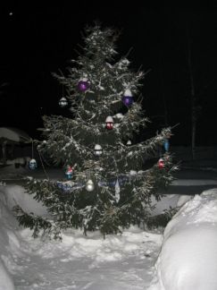 ����� ��������� ������� ��������� ��.������ (���� �3)