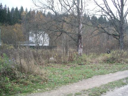    ( 2)