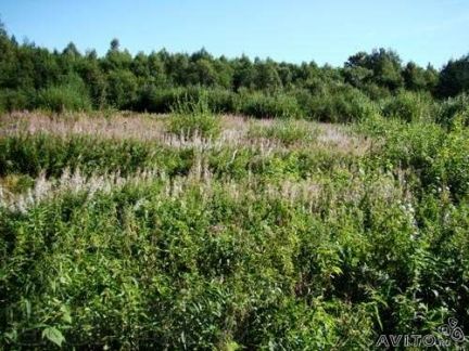 ������ ��������� ������� � ���������� �������� (���� �2)