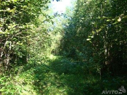 ������ ��������� ������� � ���������� �������� (���� �4)