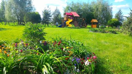 ������ ��������� ������� ������ ����� (���� �6)