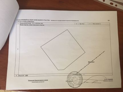      ( 3)