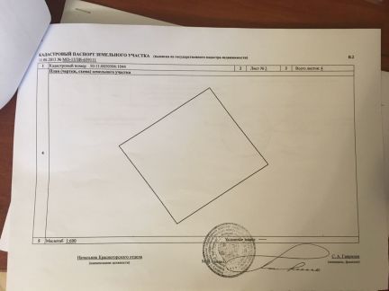      ( 4)