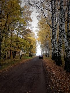 ������ ��������� ������� ��������������� ����� (���� �9)