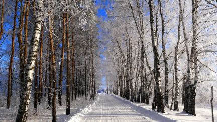 ������ ��������� ������� ��������������� ����� (���� �13)