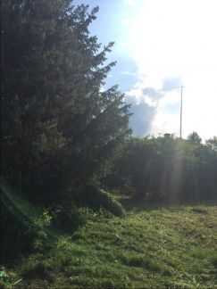       ( 11)