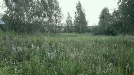      ( 3)