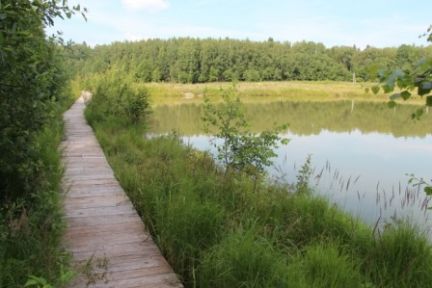 ������ ��������� ������� �������� (���� �9)