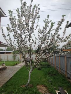 ������ ��������� ������� ��� ���� (���� �2)