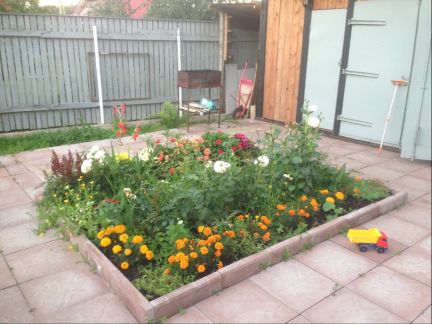 ������ ��������� ������� ��� ���� (���� �13)