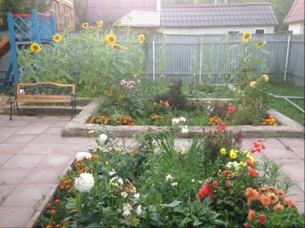 ������ ��������� ������� ��� ���� (���� �14)