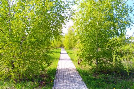 ������ ��������� ������� ������ ����� (���� �9)