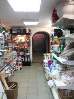 ������ ��������� ����� ������� �������� (���� �4)