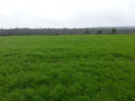 ������ ��������� ������� 10 ����� ����������� ����� ������� ��������� (���� �2)