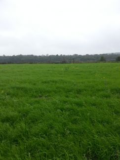 ������ ��������� ������� 10 ����� ����������� ����� ������� ��������� (���� �3)