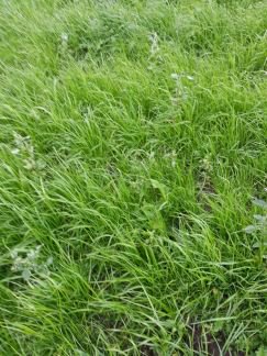 ������ ��������� ������� 10 ����� ����������� ����� ������� ��������� (���� �4)