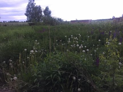    810     ( 2)