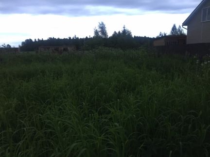    810     ( 4)
