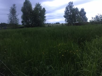    810     ( 6)