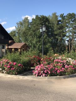 ������ ��� ���������� ����� (���� �7)