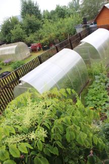 ������ ��� 7 ����� �. ���������� ��� ������ (���� �7)