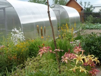 ������ ��� 7 ����� �. ���������� ��� ������ (���� �14)