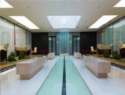 ����� ���� �� ����������� (���� �8)