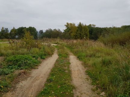         ( 2)