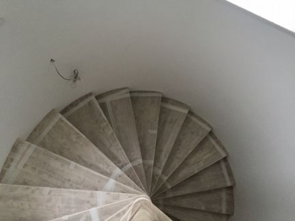      ( 13)