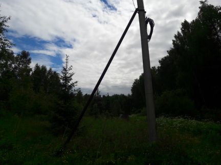      ( 2)