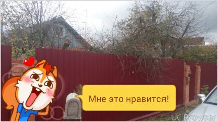      ( 4)