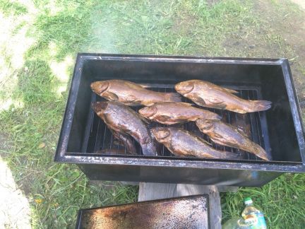 ������ ��������� ������� 15 ����� ����������� �������������������� ������ (���� �14)