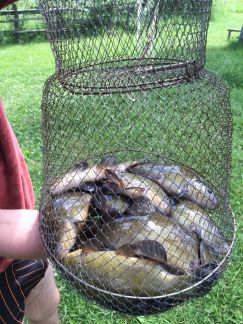 ������ ��������� ������� 15 ����� ����������� �������������������� ������ (���� �17)