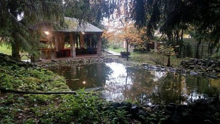 ����� ��� 50 ����� ��������� ��������� ����� (���� �13)