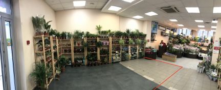 ����� ��������� ���������� ���������� ����� ���������� ��������� ����� 34 (���� �4)