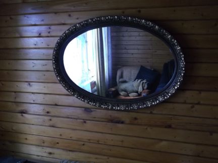    6   .      . ( 14)